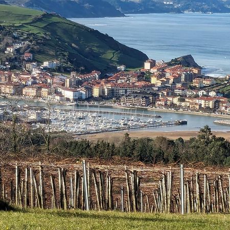 דירות Zumaia Basque Alai מראה חיצוני תמונה