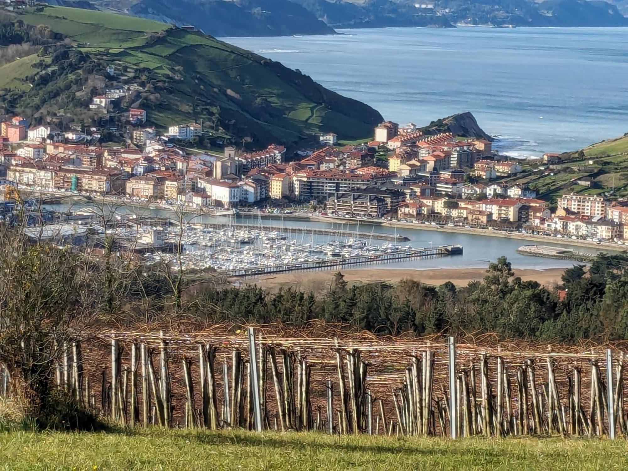 דירות Zumaia Basque Alai מראה חיצוני תמונה